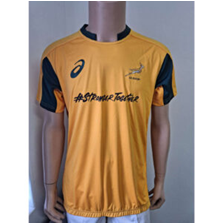 Asics Springbok SA Rugby Yellow Jersey (Stronger Together)